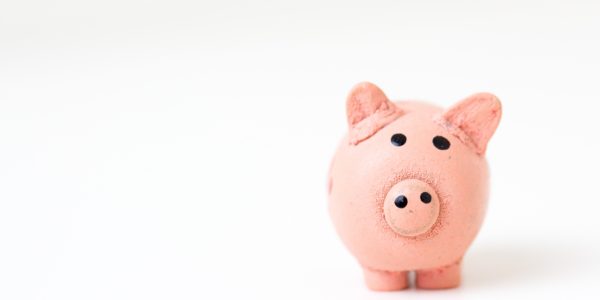 Piggy Bank Piggy Bank